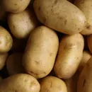 В Коми реализован инвестпроект по вакуумной переработке картофеля